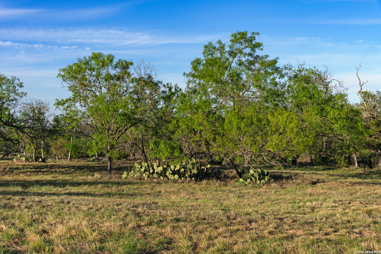 0015 Clearwater Comfort TX 78013