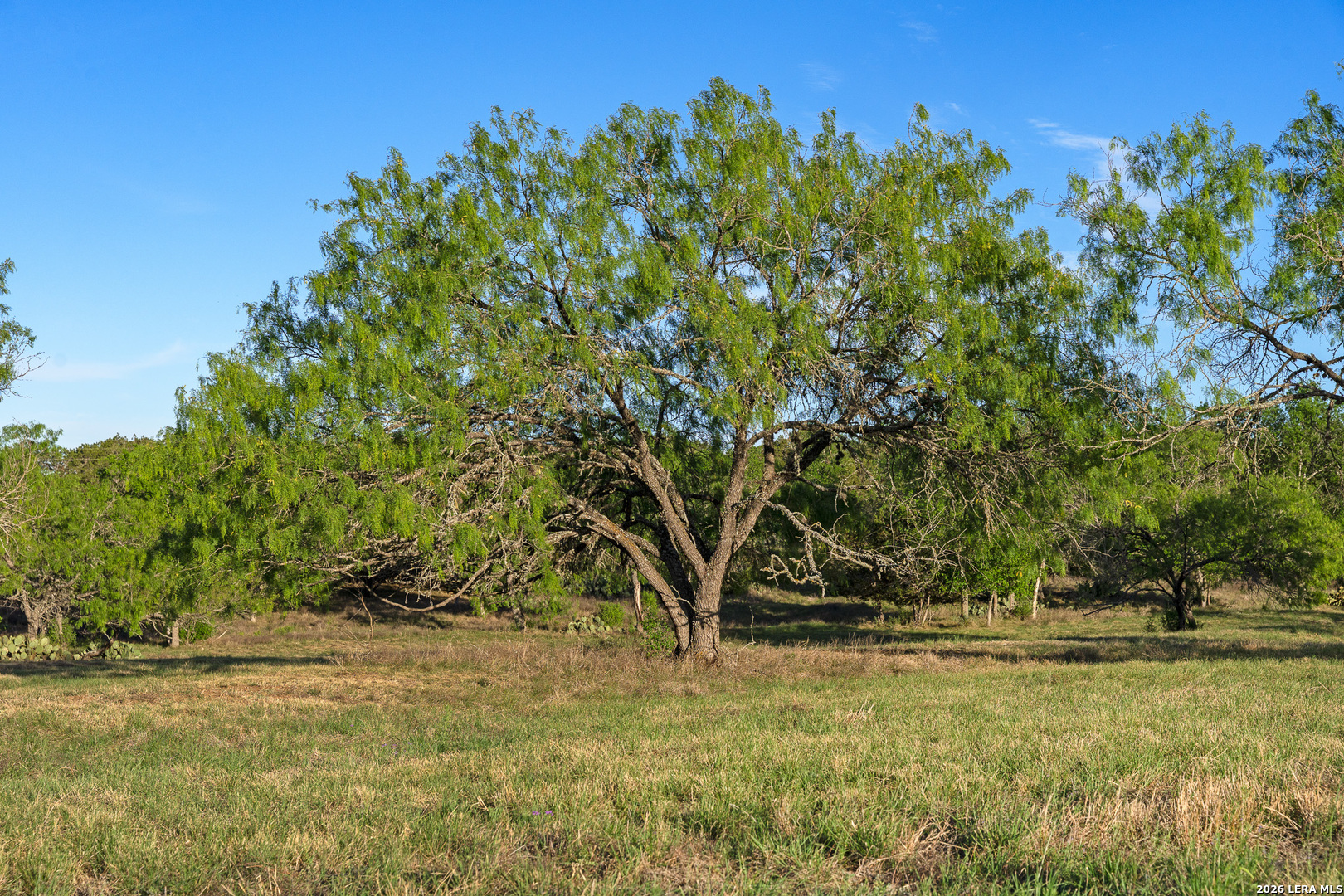 0015 Clearwater Comfort TX 78013