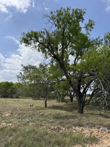 00 County Road 405 Floresville TX 78114