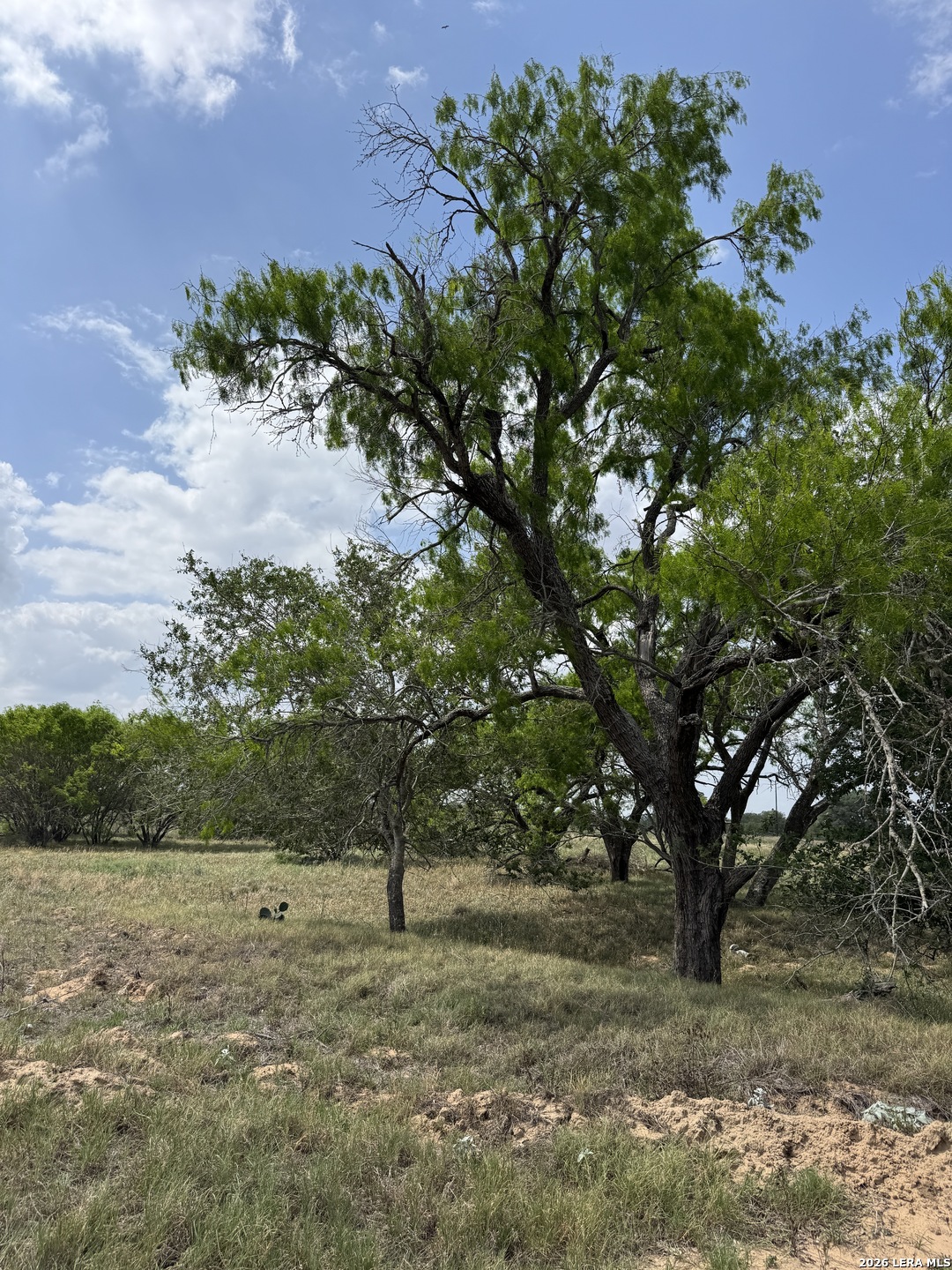 00 County Road 405 Floresville TX 78114