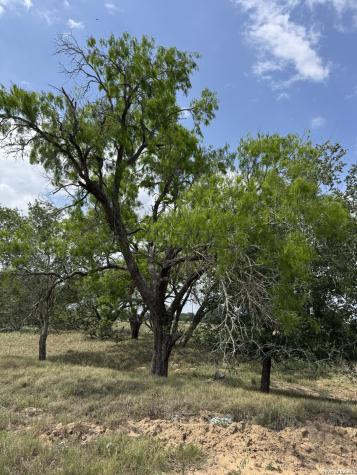 00 County Road 405 Floresville TX 78114