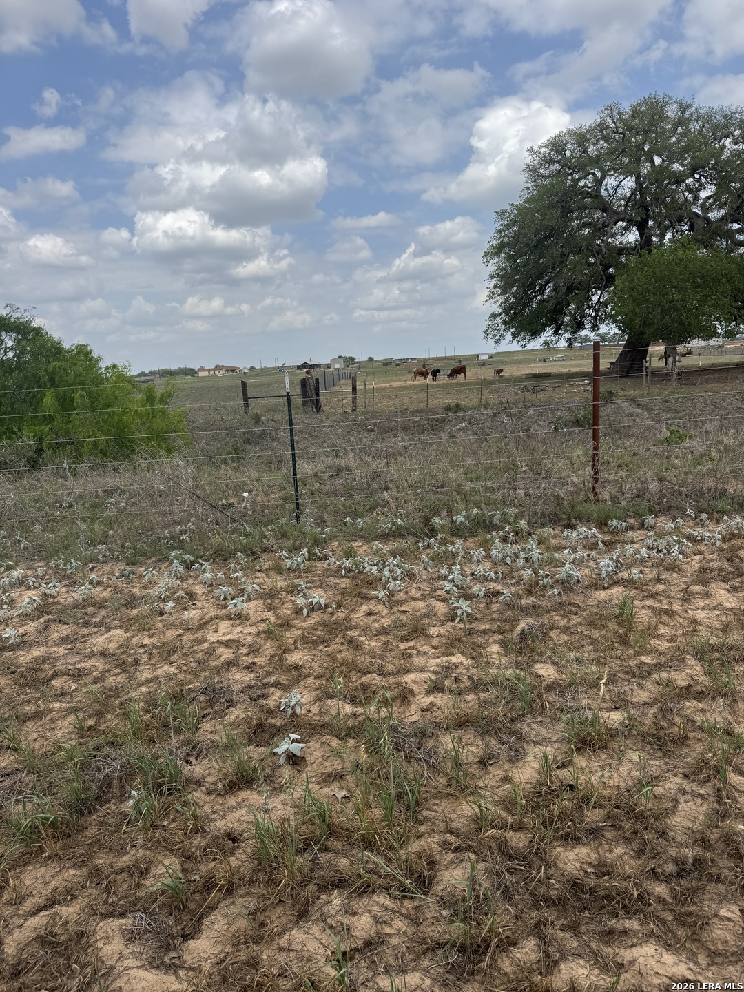 00 County Road 405 Floresville TX 78114