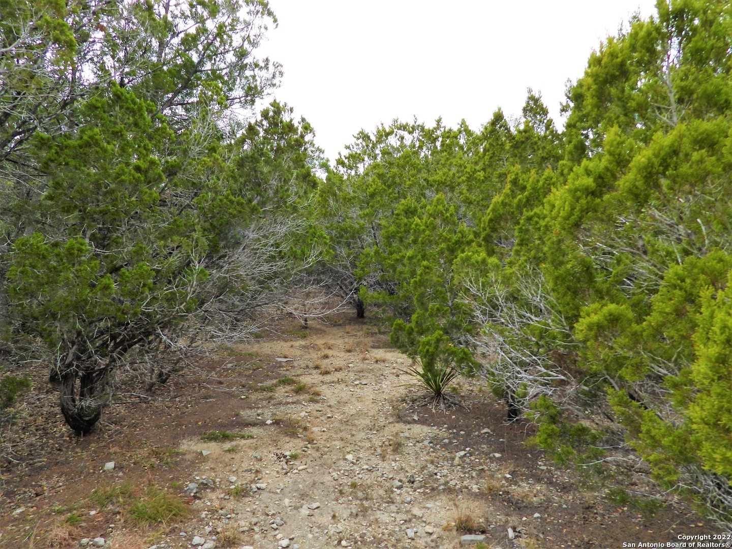 Lot 73 Scenic Crest Lakehills TX 78063