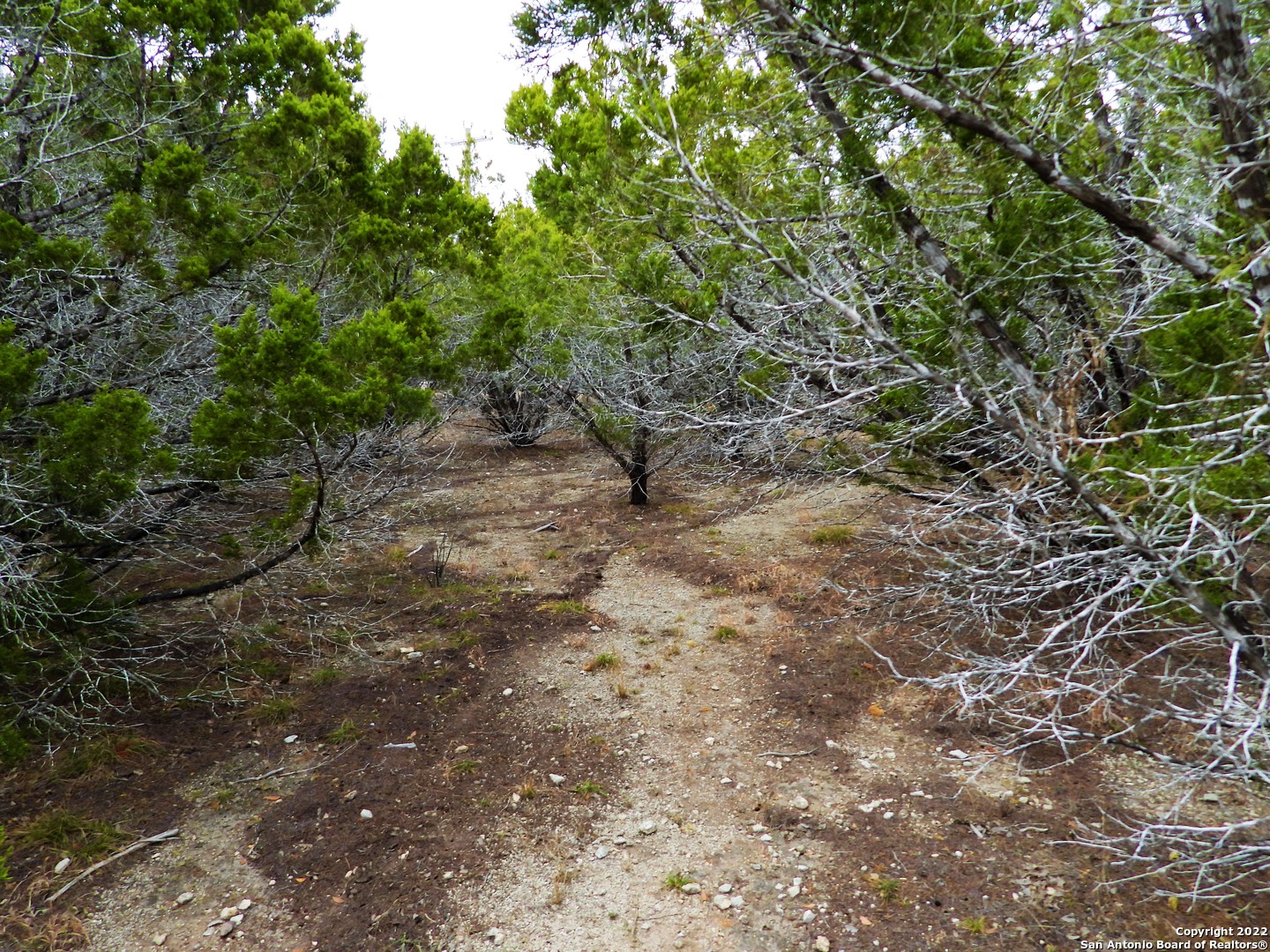Lot 73 Scenic Crest Lakehills TX 78063