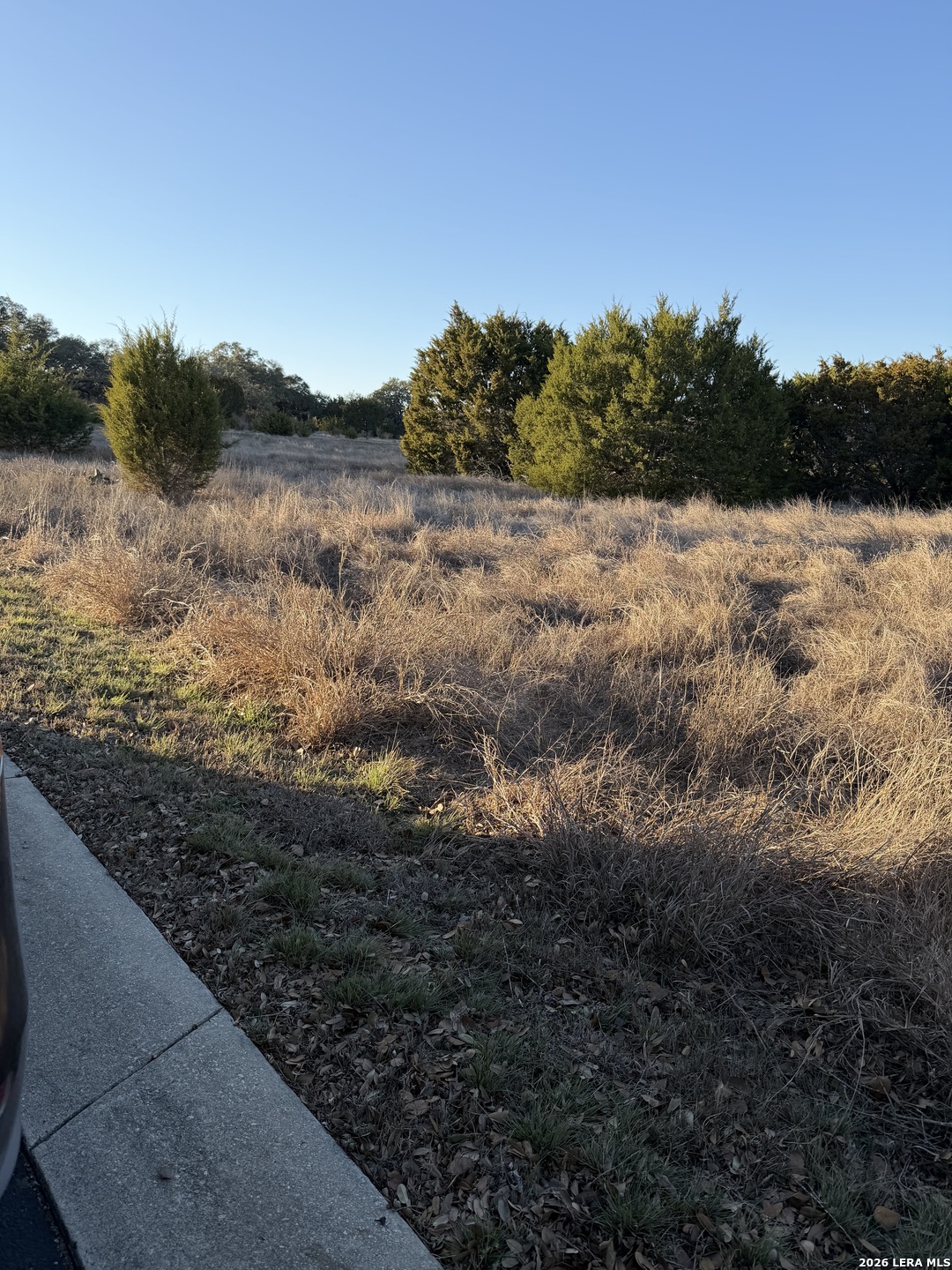 1046 Monteola Bulverde TX 78163