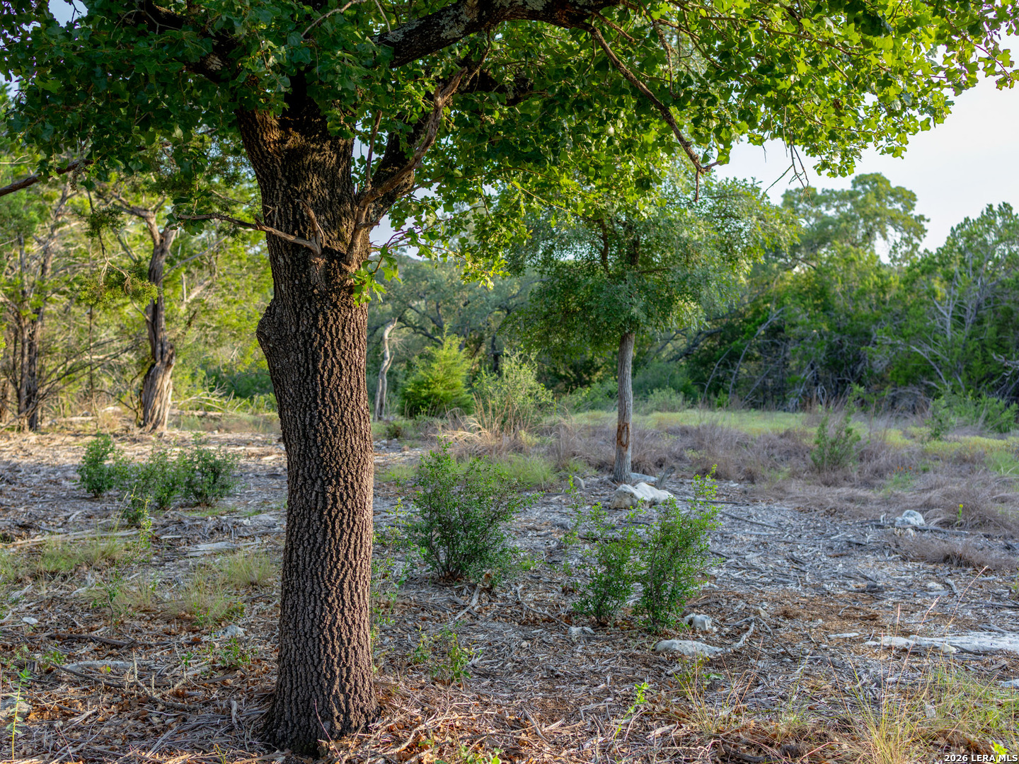 Lot 12 Monterey Trail Boerne TX 78006