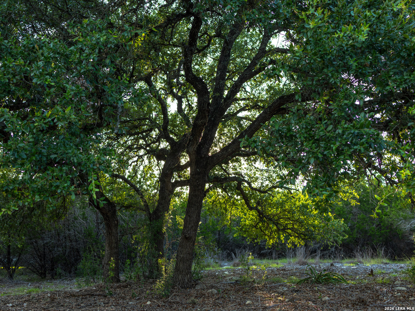 Lot 12 Monterey Trail Boerne TX 78006
