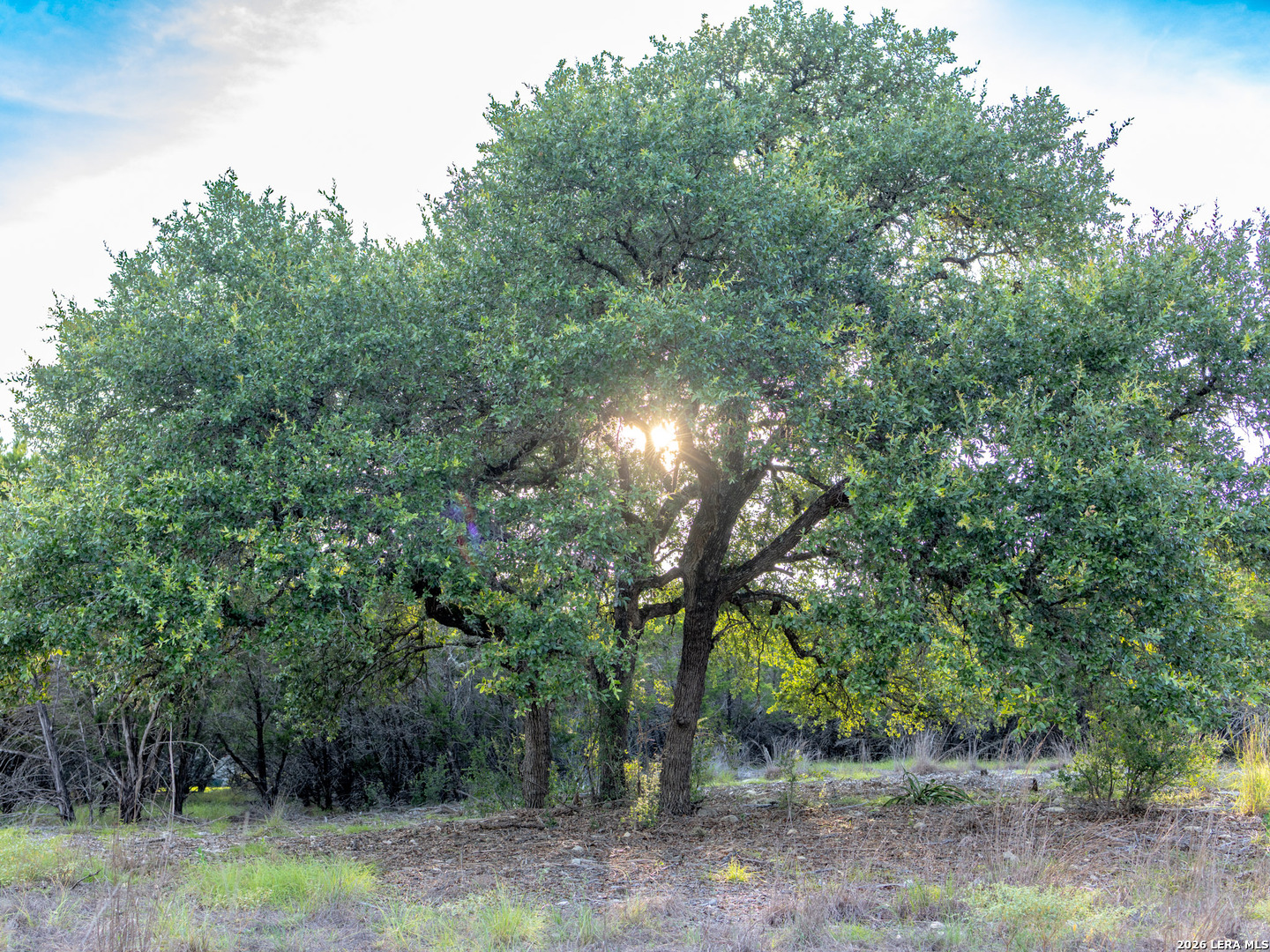 Lot 12 Monterey Trail Boerne TX 78006