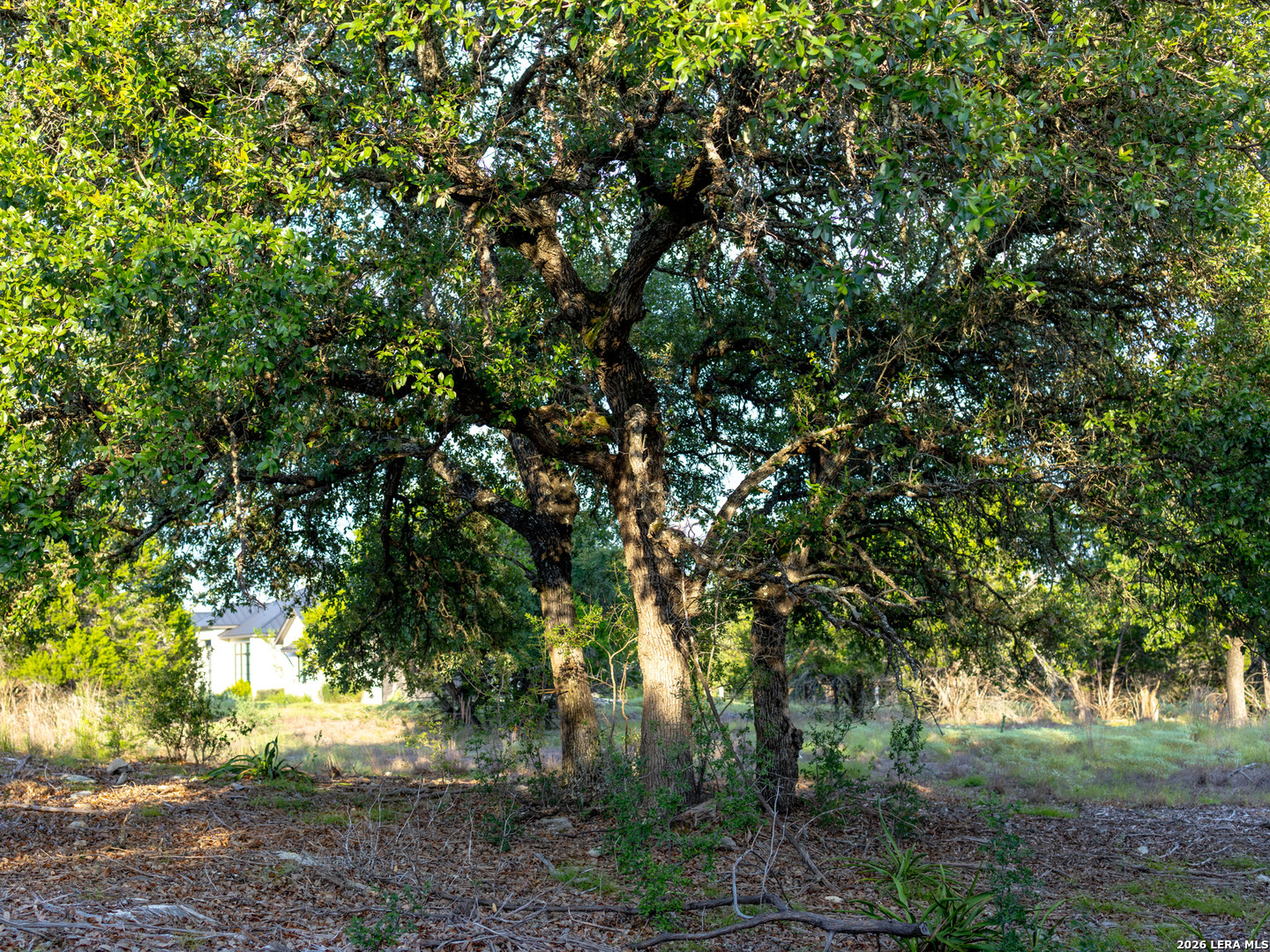 Lot 12 Monterey Trail Boerne TX 78006