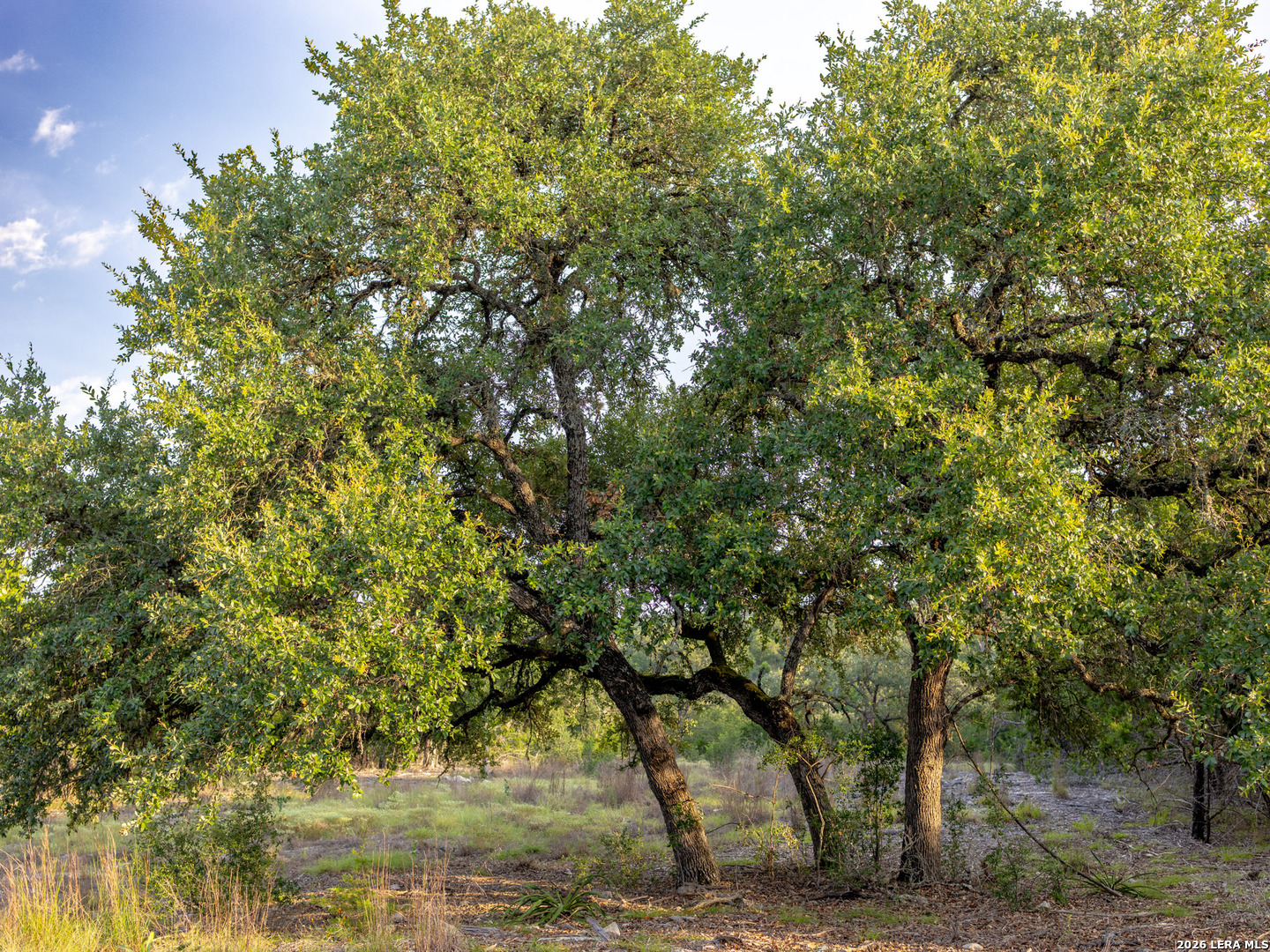 Lot 12 Monterey Trail Boerne TX 78006