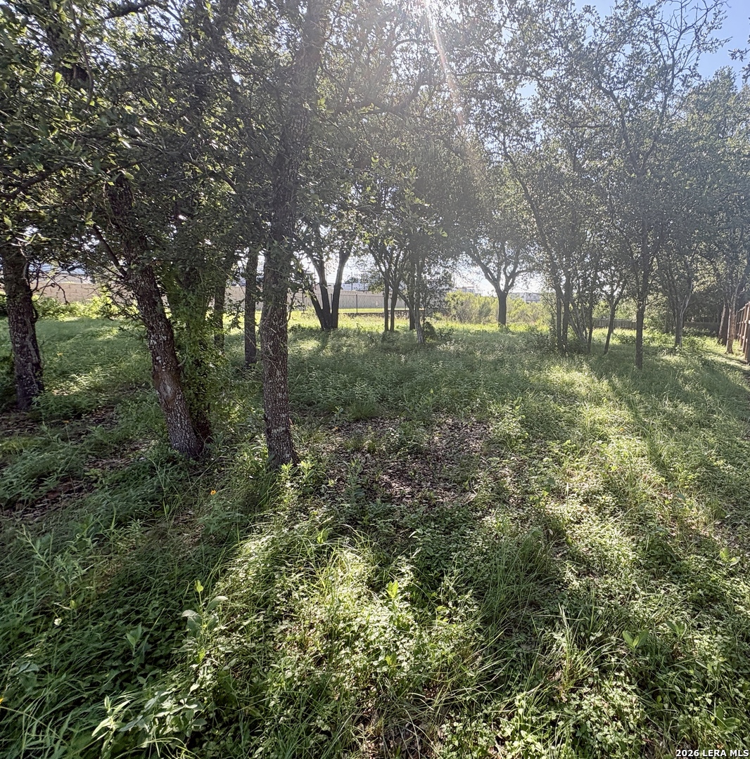 Tbd Old Austin Road Selma TX 78154