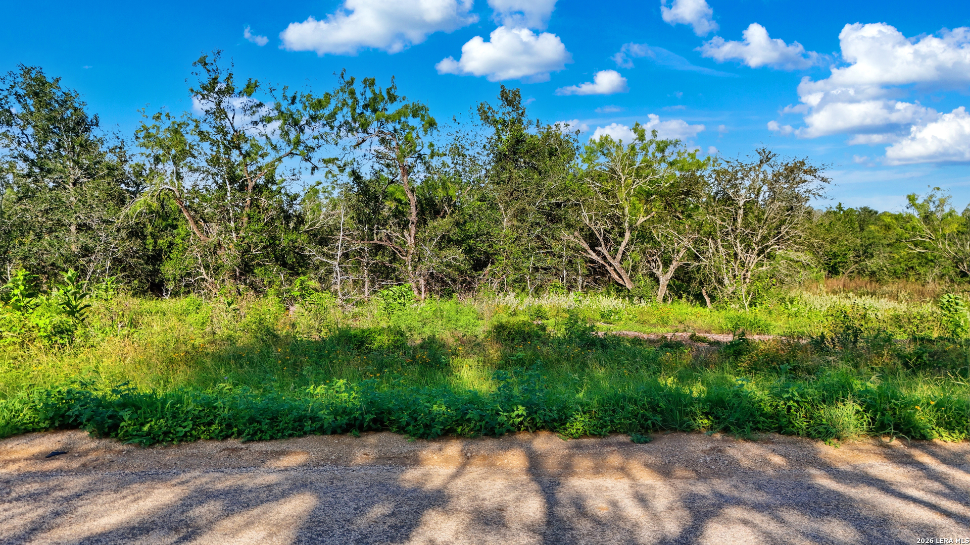 485 Marrou Road (Lot 3) Seguin TX 78155