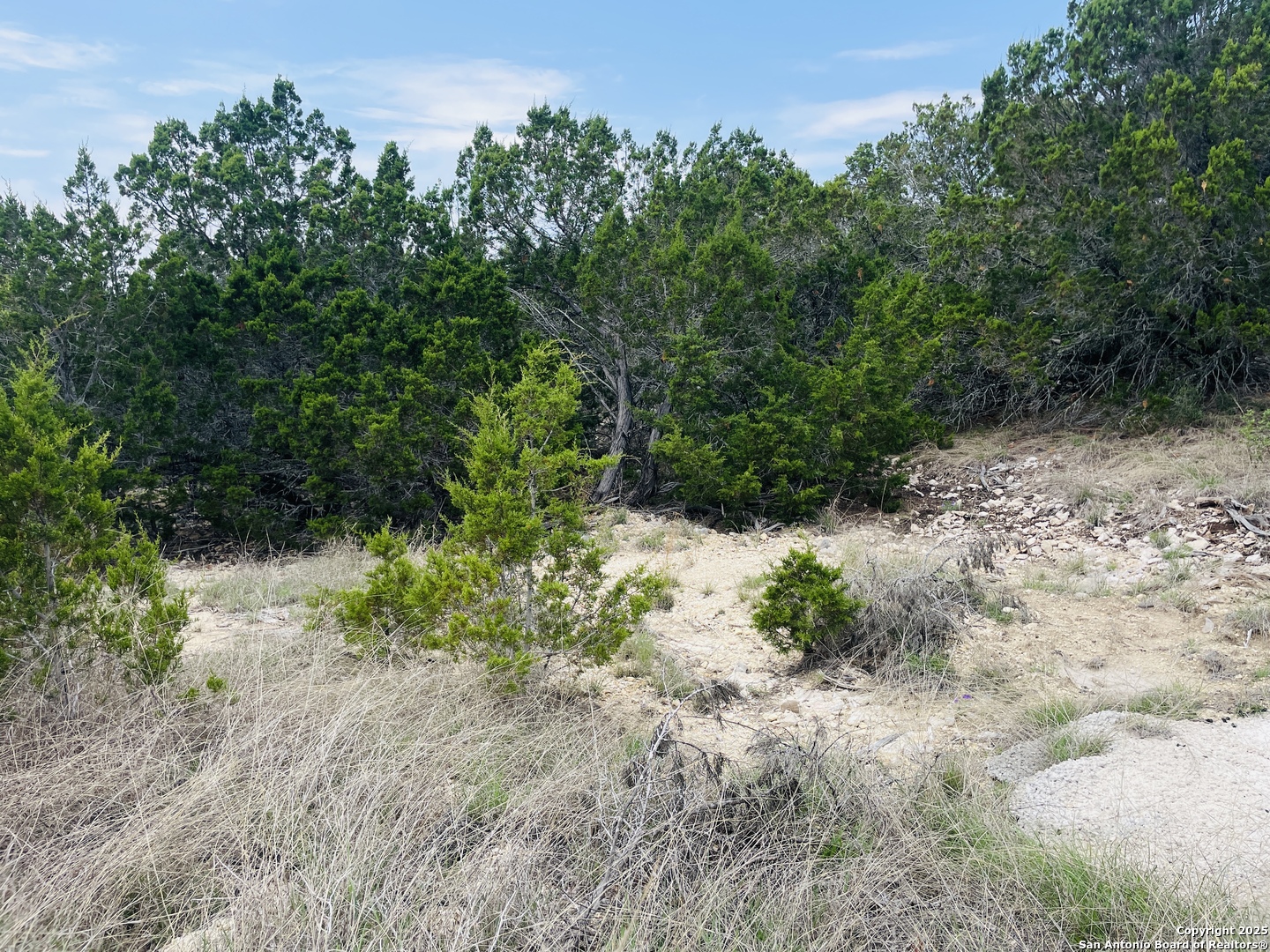 350 Sd 23110 Rocksprings TX 78880