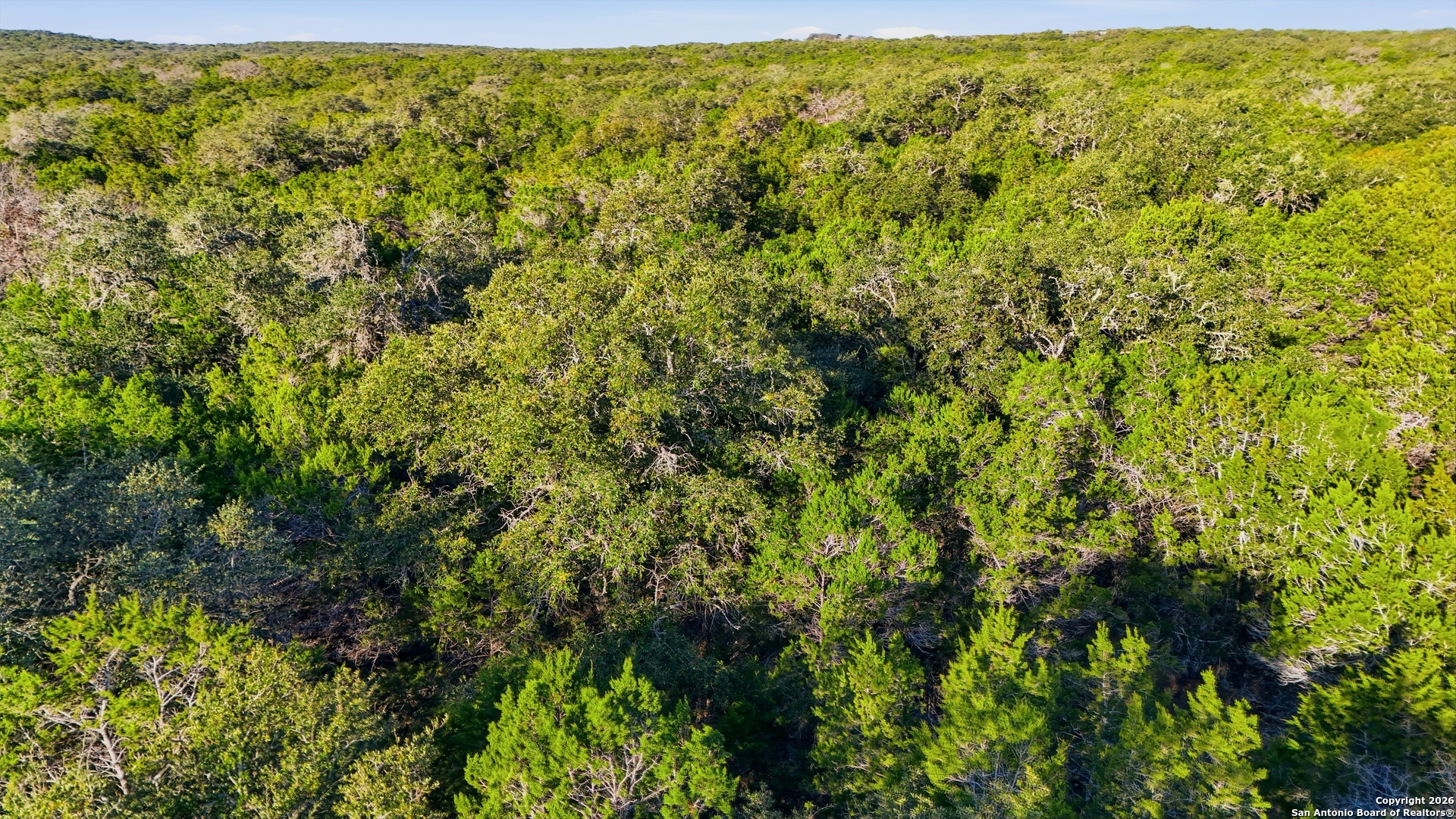 124 Restless Wind Spring Branch TX 78070