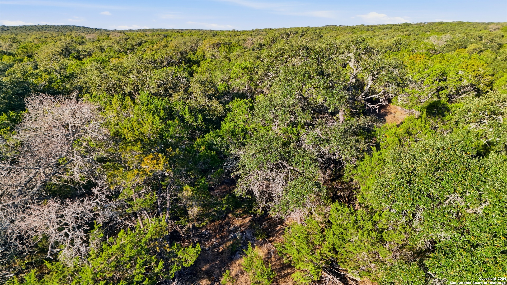 124 Restless Wind Spring Branch TX 78070
