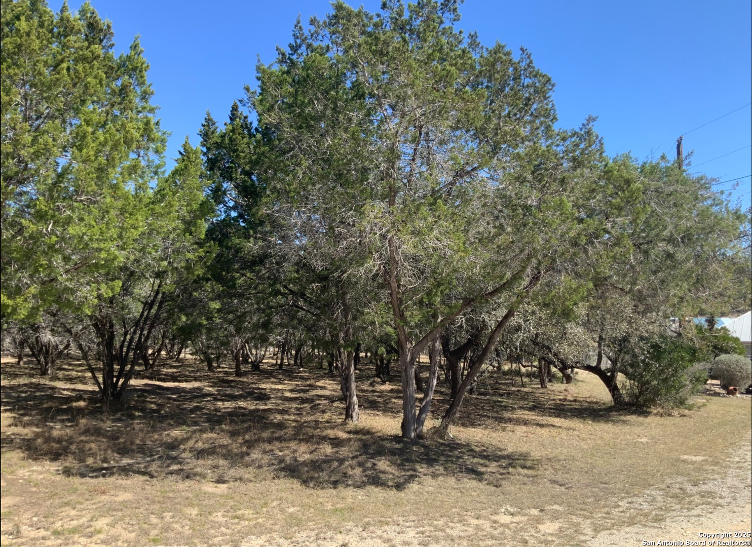Lot #69 Forest Oaks Lakehills TX 78063