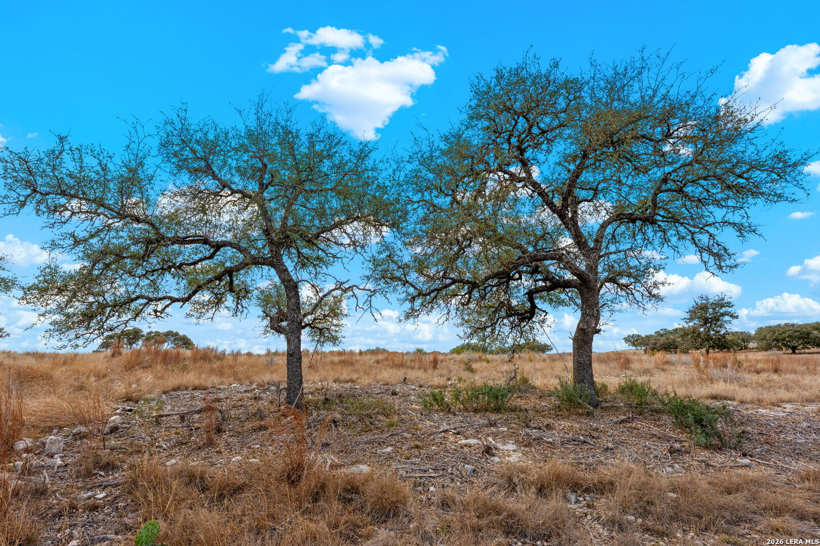 Lot 81 Firsching Road Kerrville TX 78028