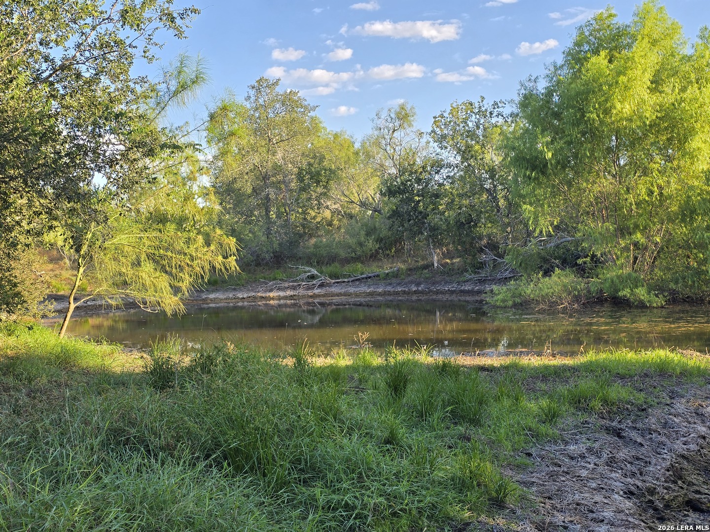 7 South Trail Pleasanton TX 78064