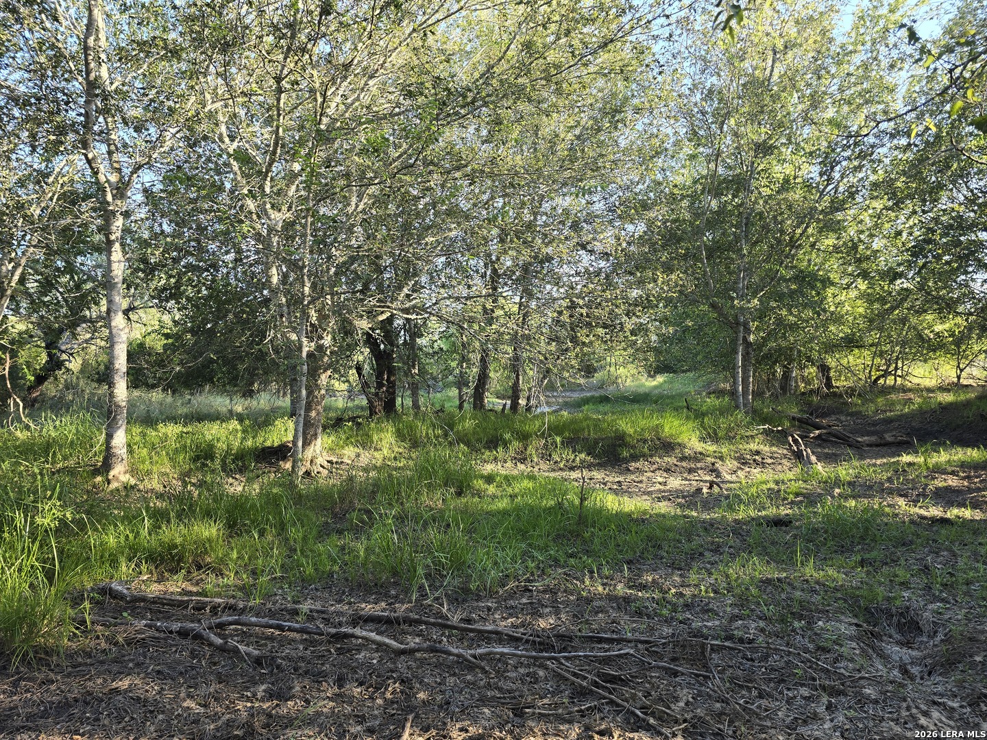 7 South Trail Pleasanton TX 78064