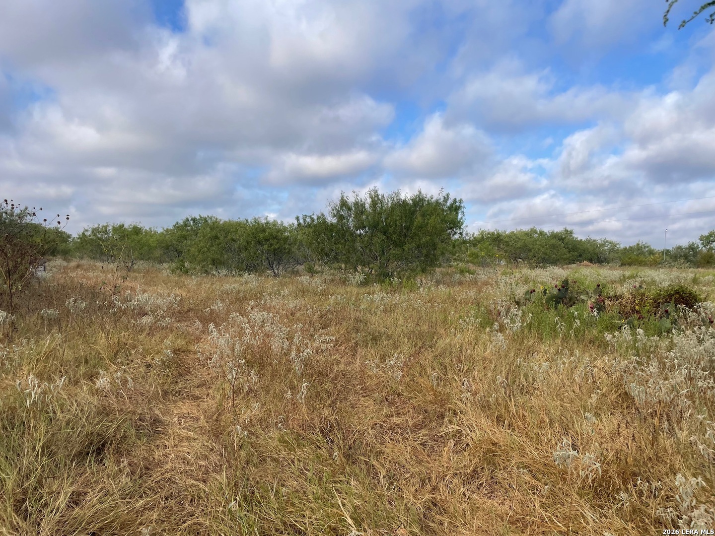 3 Acres Tbd Cr 118 Floresville TX 78114
