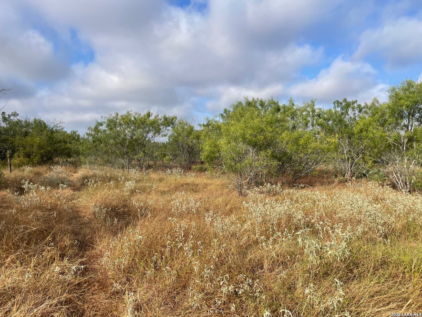 3 Acres Tbd Cr 118 Floresville TX 78114