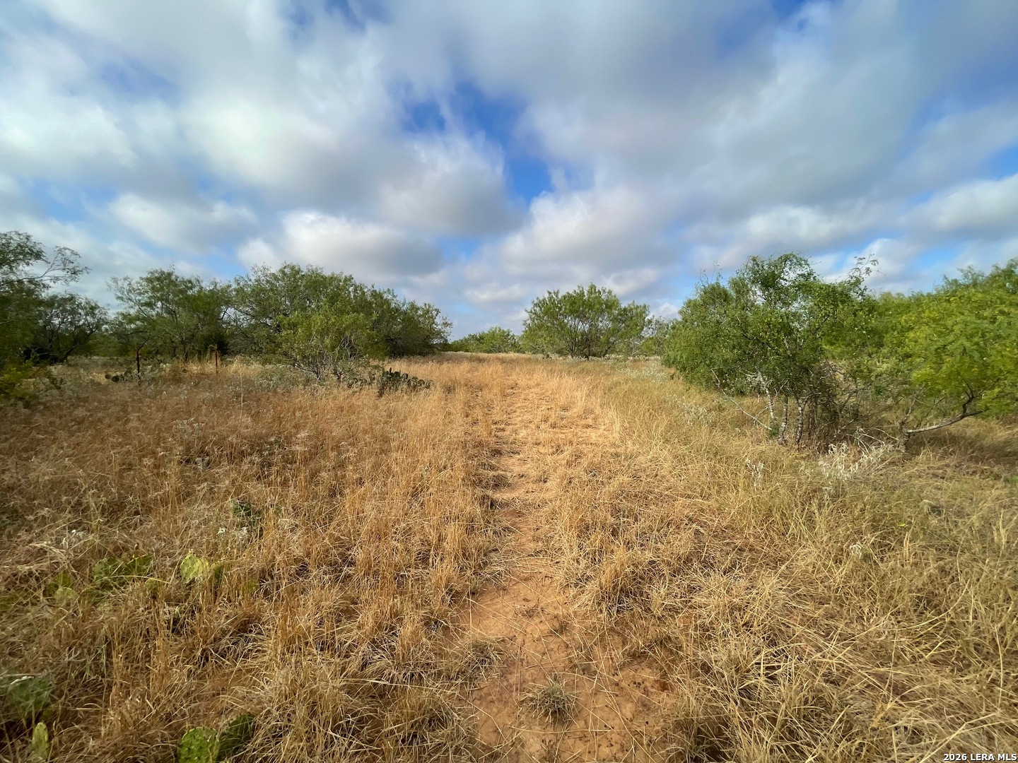 3 Acres Tbd Cr 118 Floresville TX 78114