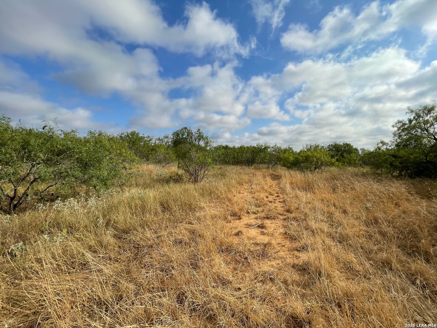 3 Acres Tbd Cr 118 Floresville TX 78114