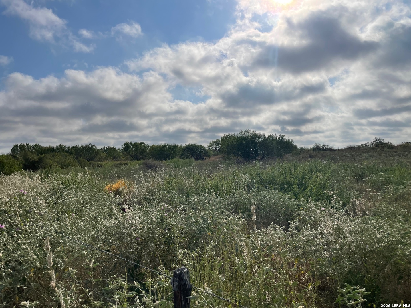 3 Acres Tbd Cr 118 Floresville TX 78114