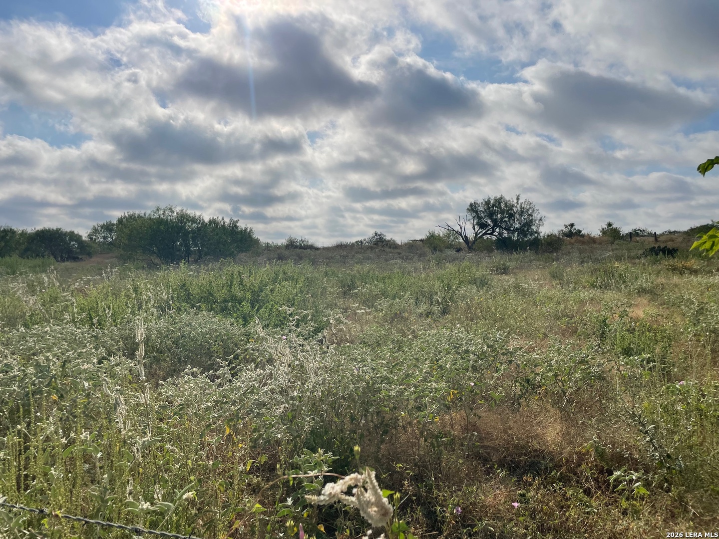3 Acres Tbd Cr 118 Floresville TX 78114