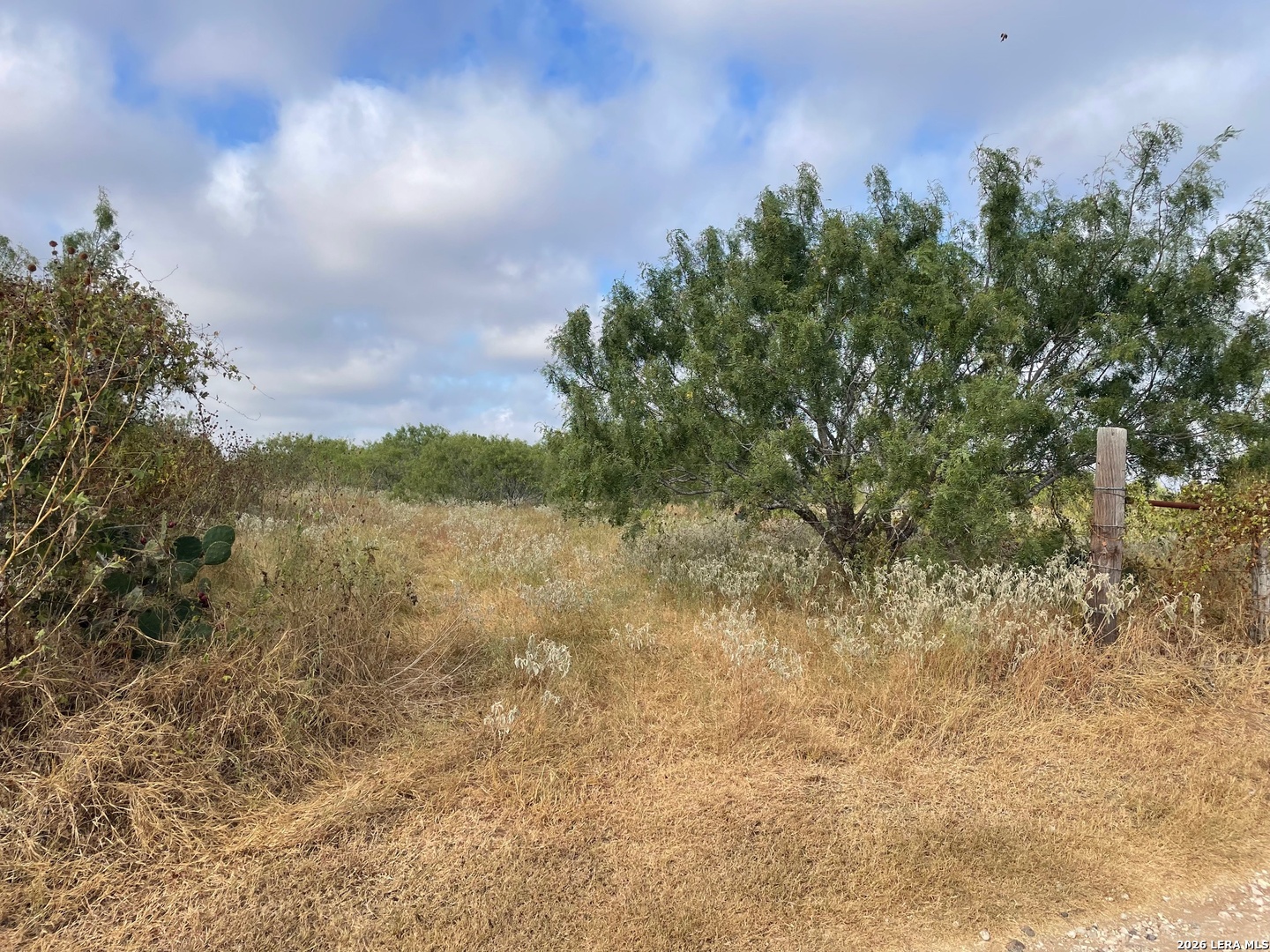 3 Acres Tbd Cr 118 Floresville TX 78114