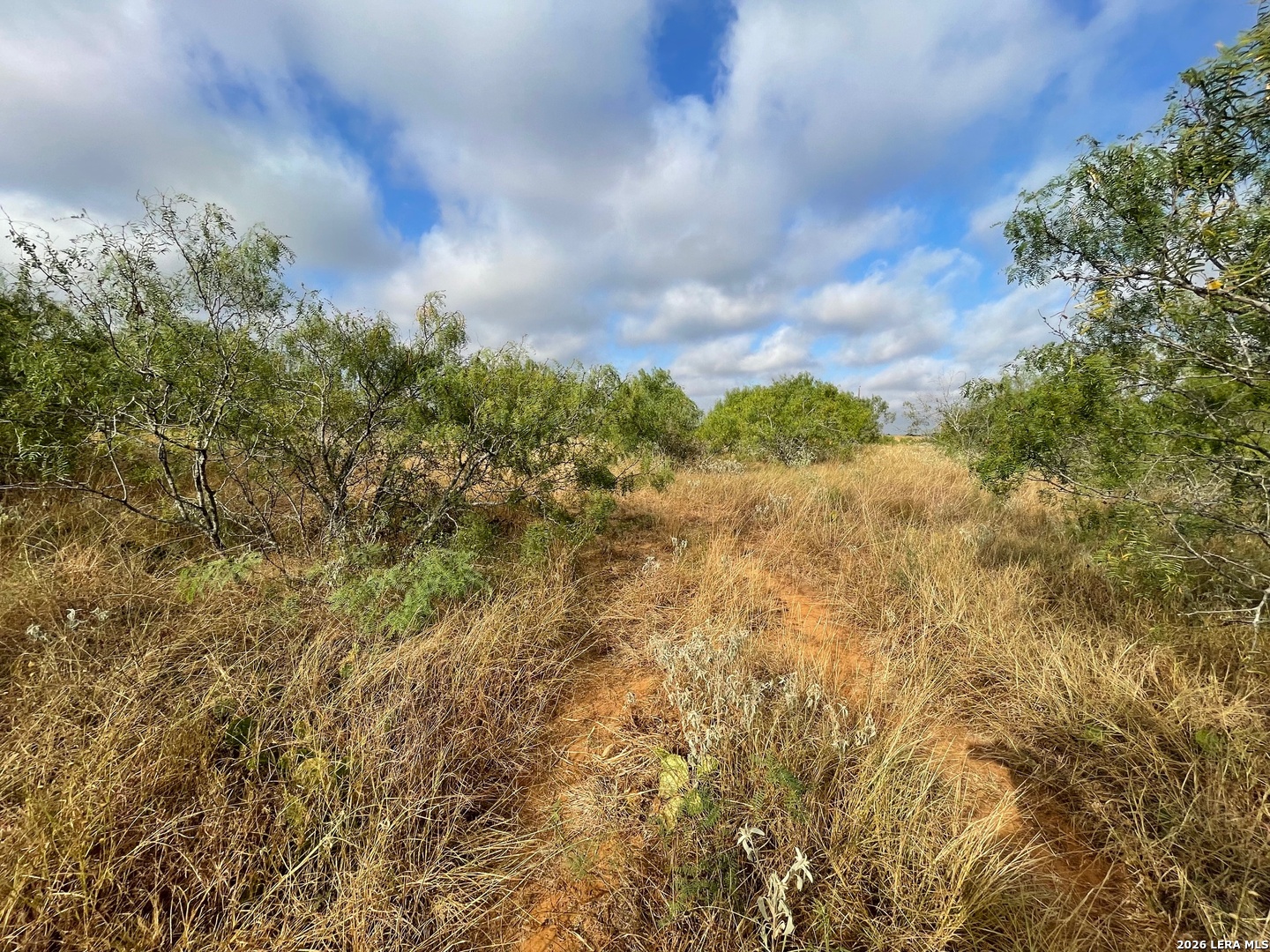 3 Acres Tbd Cr 118 Floresville TX 78114