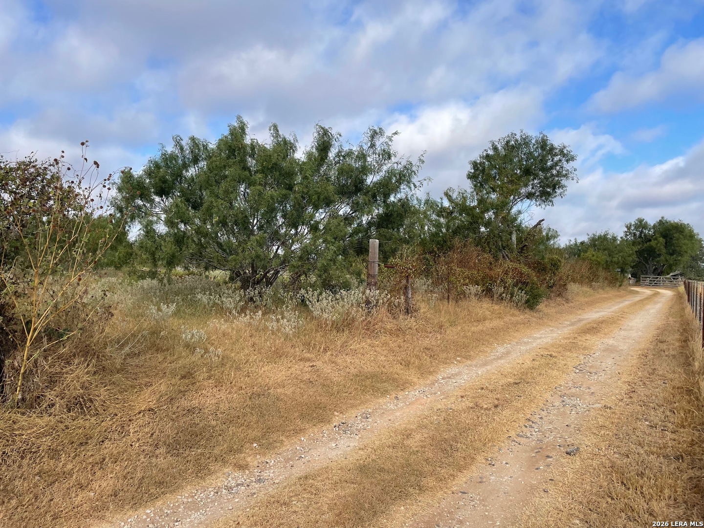 3 Acres Tbd Cr 118 Floresville TX 78114