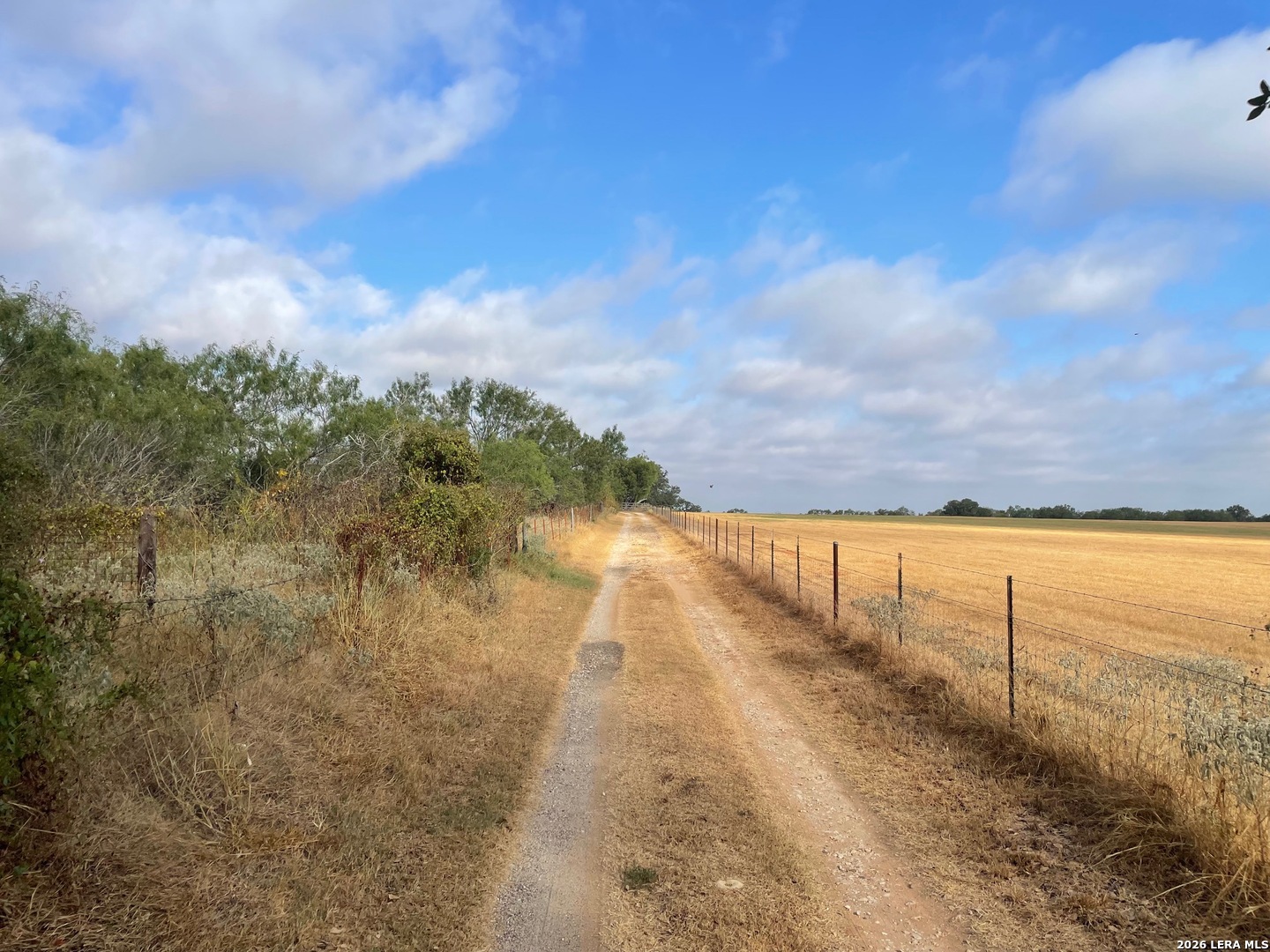 3 Acres Tbd Cr 118 Floresville TX 78114
