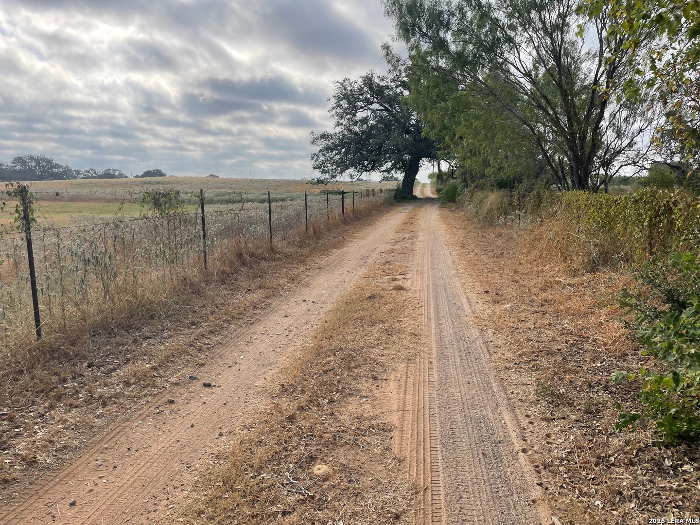 3 Acres Tbd Cr 118 Floresville TX 78114
