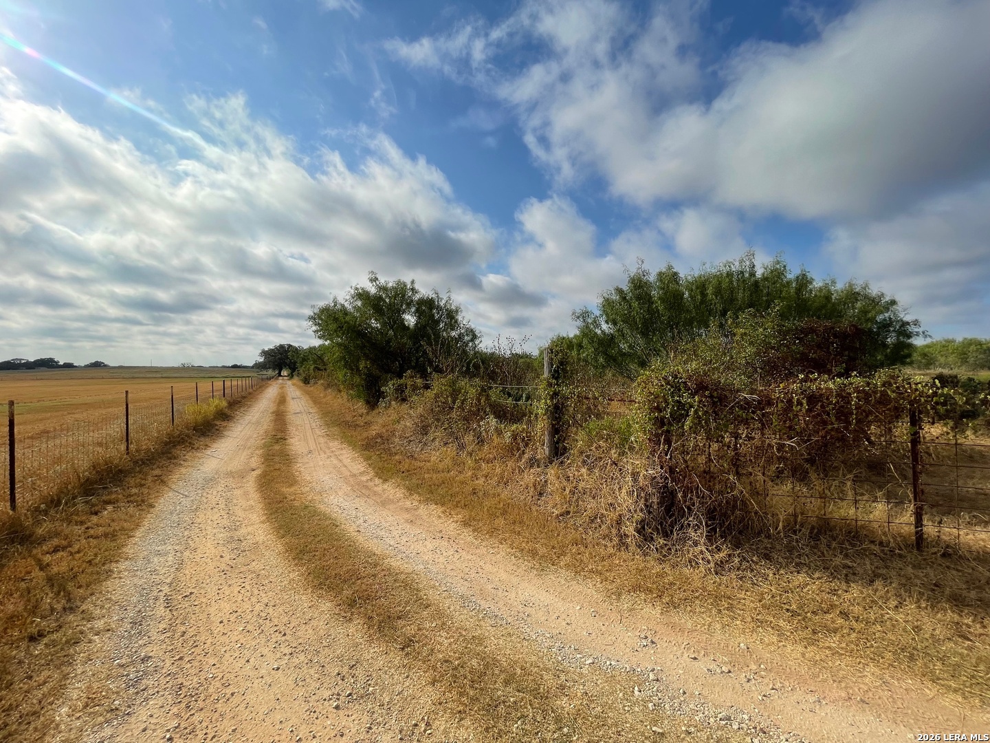 3 Acres Tbd Cr 118 Floresville TX 78114