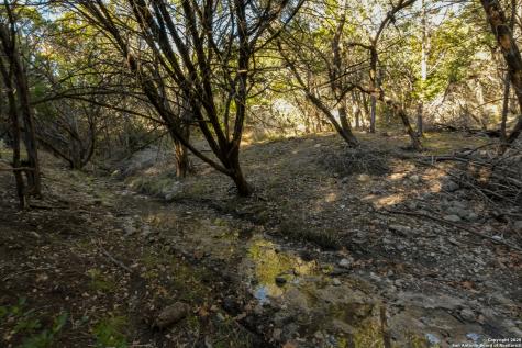929 Upper Loma Verde Road Lt 95a 10 Acres Medina TX 78055