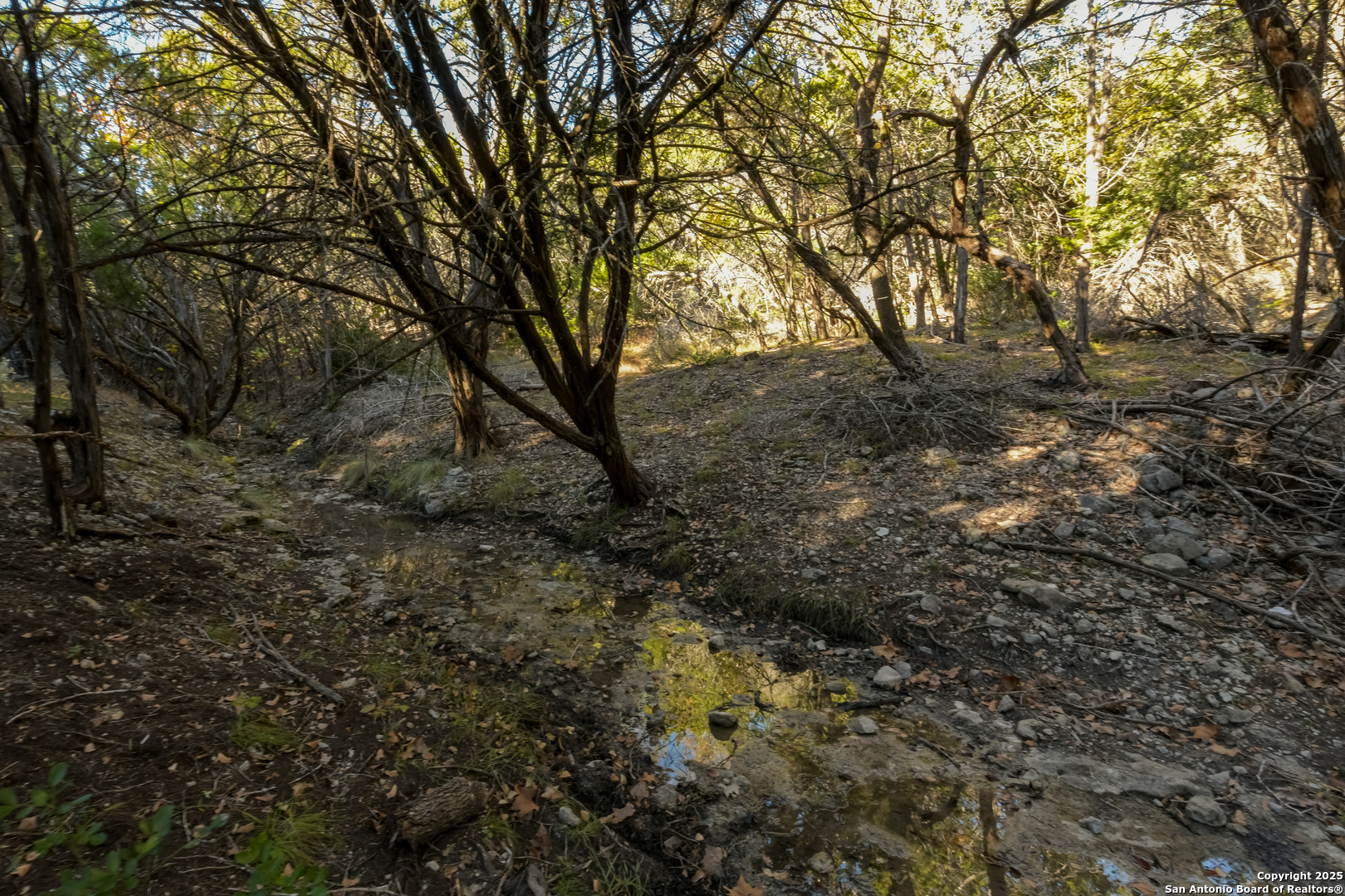 929 Upper Loma Verde Road Lt 95a 10 Acres Medina TX 78055