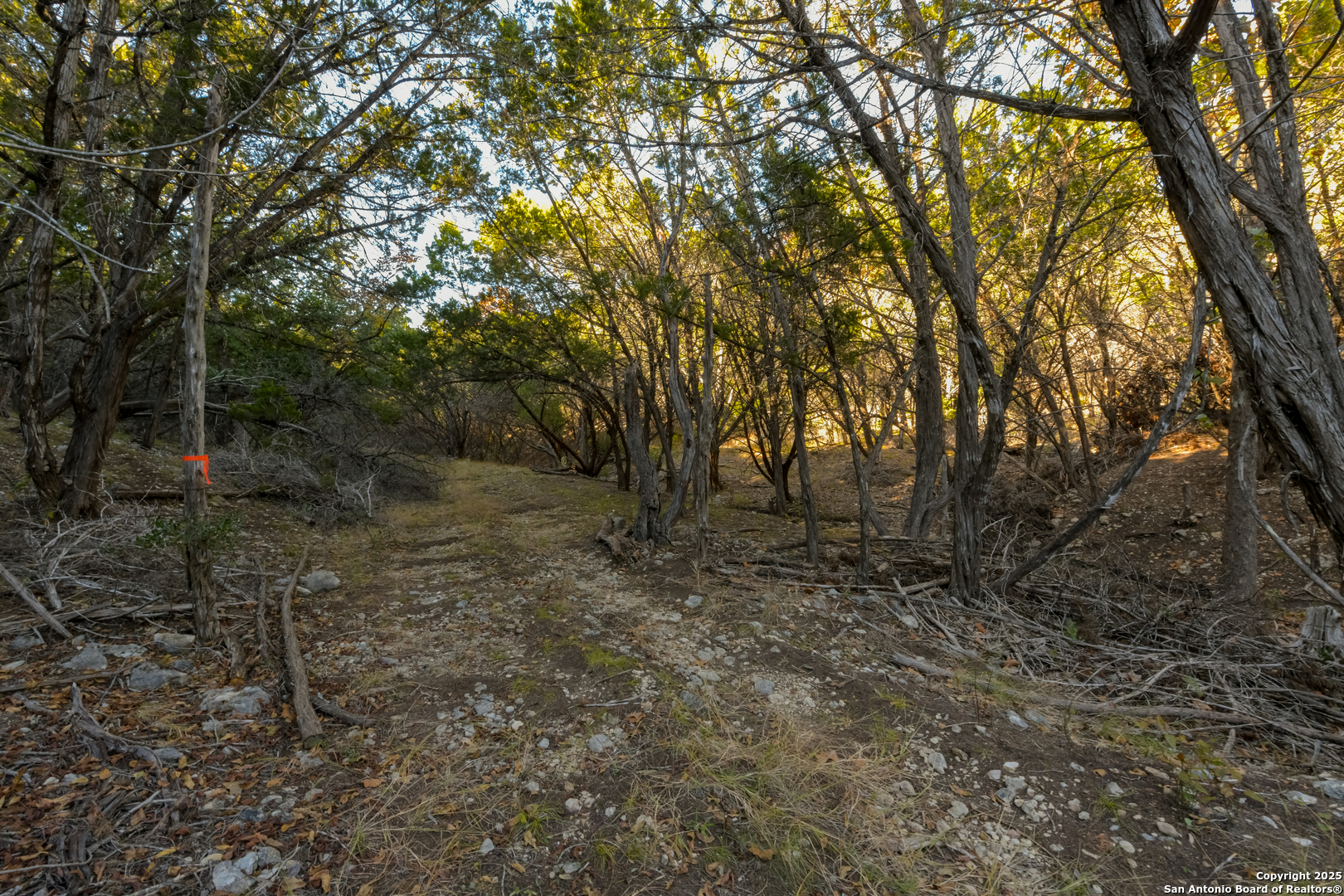 929 Upper Loma Verde Road Lt 95a 10 Acres Medina TX 78055