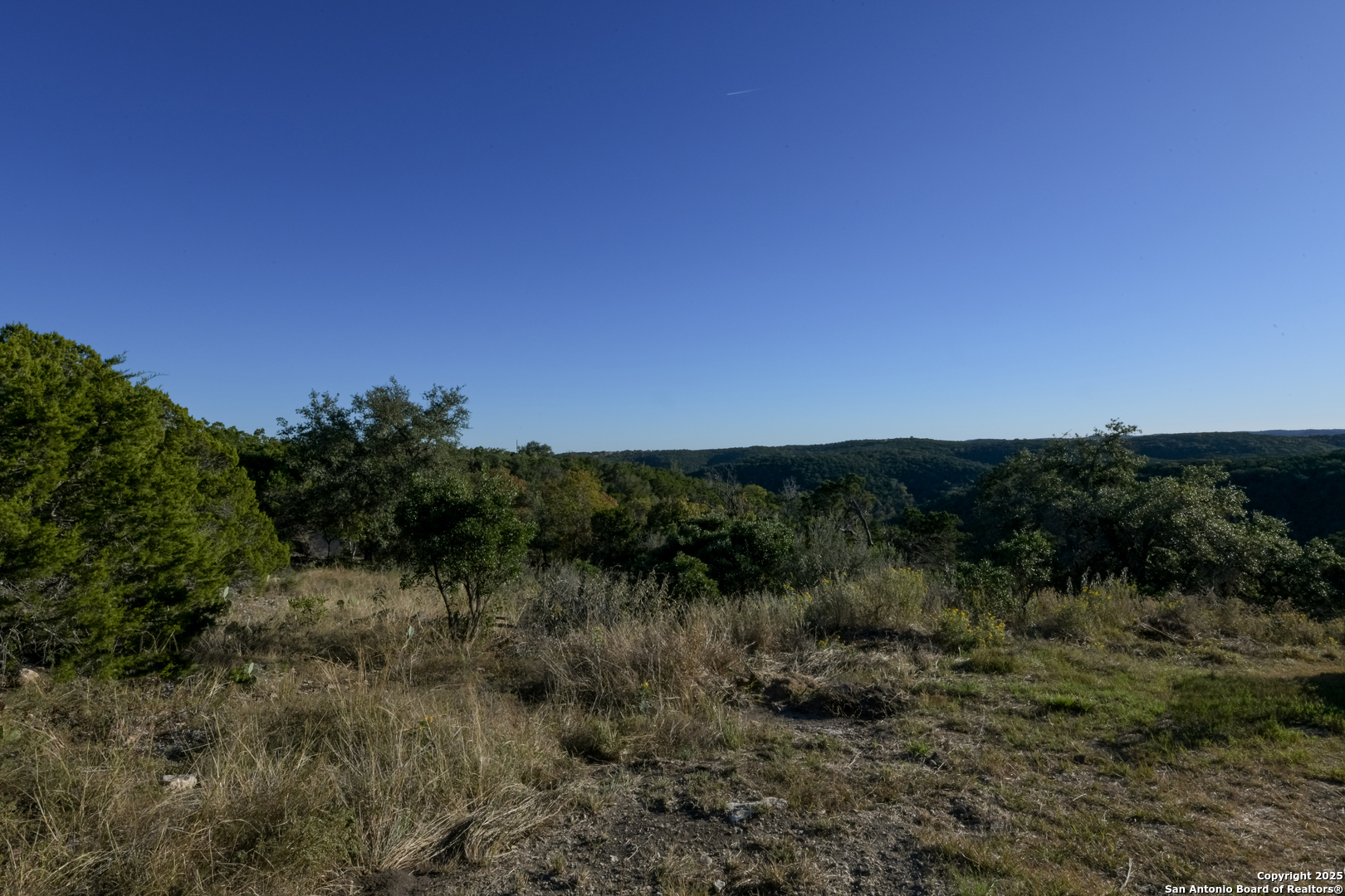 929 Upper Loma Verde Road Lt 95a 10 Acres Medina TX 78055