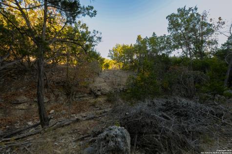 929 Upper Loma Verde Road Lt 95a 10 Acres Medina TX 78055