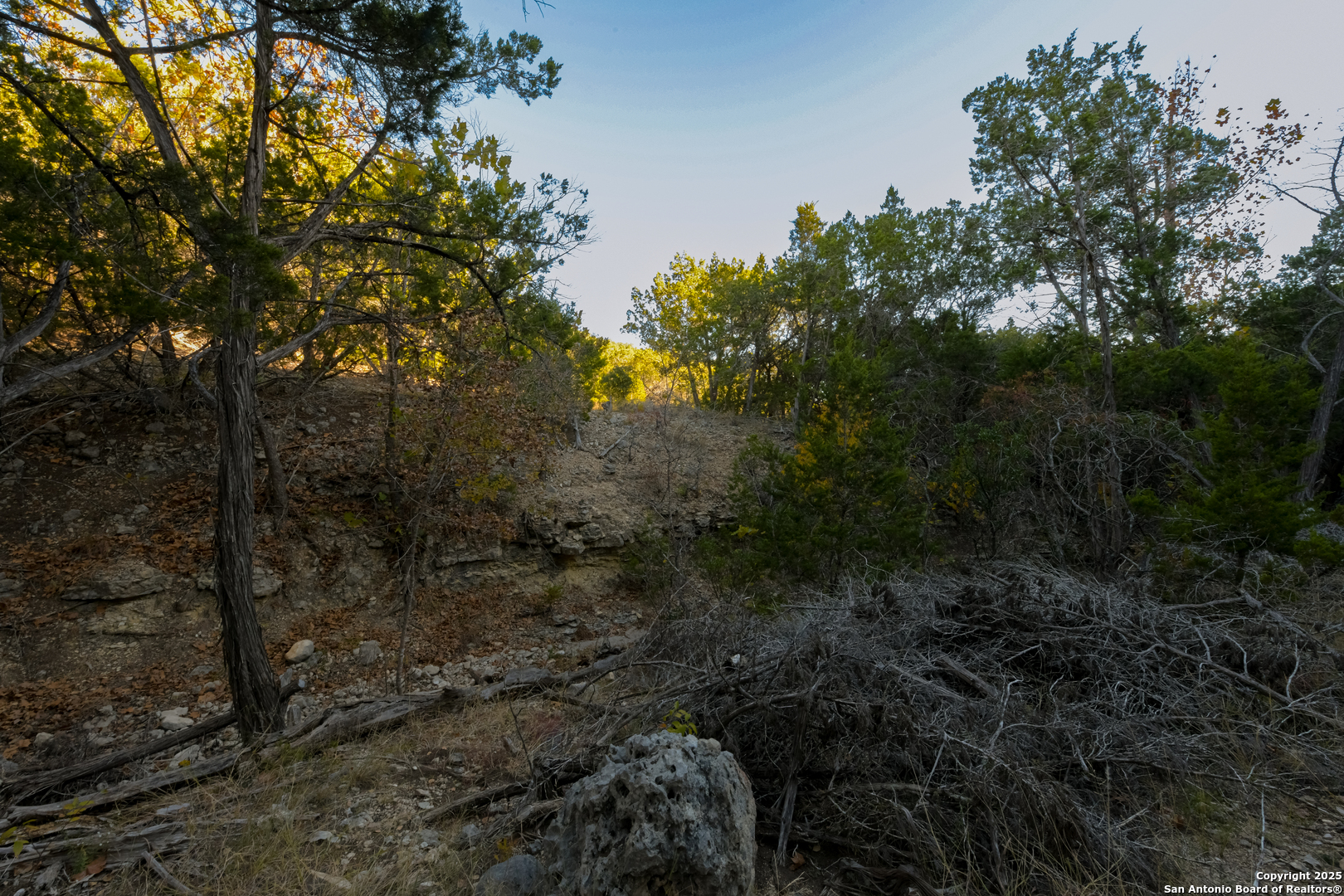 929 Upper Loma Verde Road Lt 95a 10 Acres Medina TX 78055