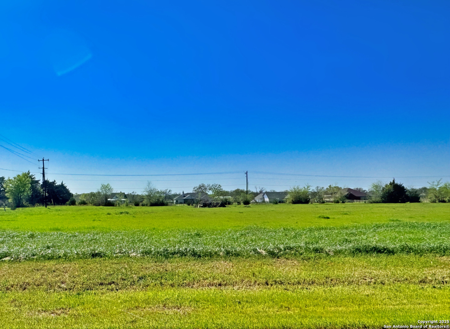 9867 Panther Creek Drive Iola TX 77861