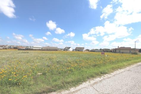115 Las Palomas Drive La Vernia TX 78121
