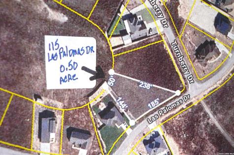 115 Las Palomas Drive La Vernia TX 78121