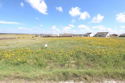 115 Las Palomas Drive La Vernia TX 78121