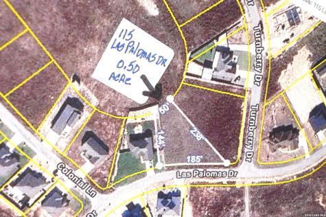 115 Las Palomas Drive La Vernia TX 78121