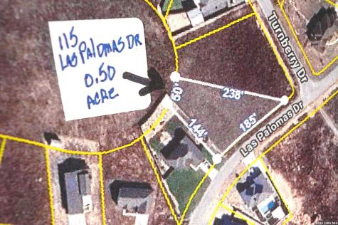 115 Las Palomas Drive La Vernia TX 78121