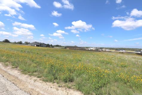 115 Las Palomas Drive La Vernia TX 78121