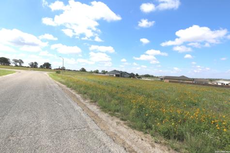 115 Las Palomas Drive La Vernia TX 78121