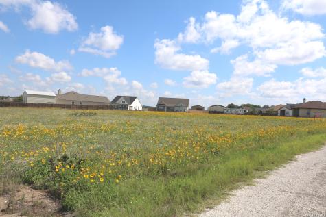 115 Las Palomas Drive La Vernia TX 78121